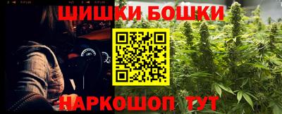 крисы Новокубанск